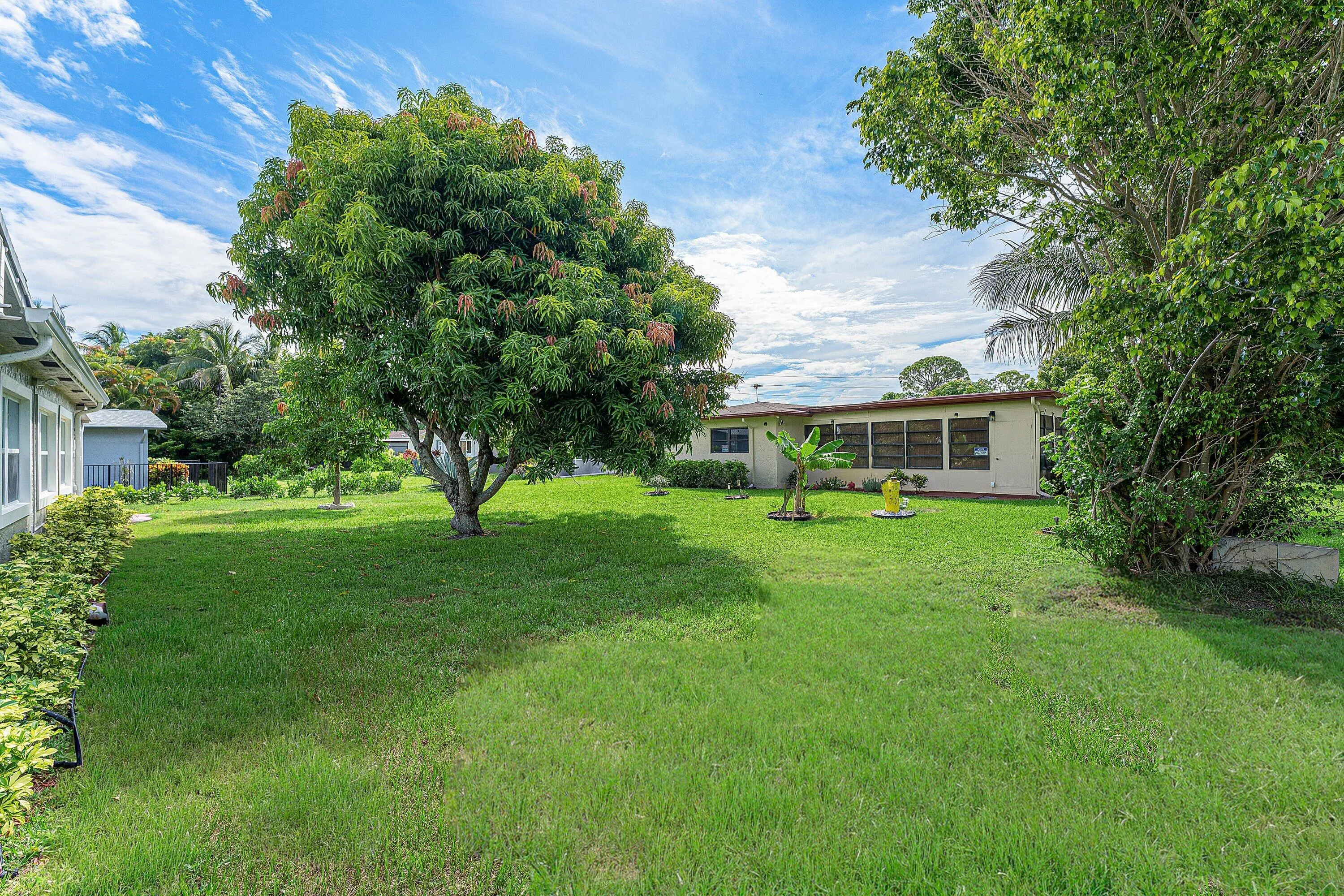Expansive green lawn with mature trees and perimeter shrubbery