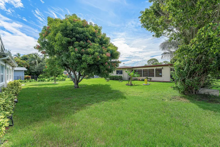 Expansive green lawn with mature trees and perimeter shrubbery