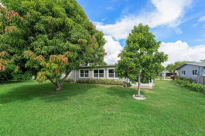 Expansive green lawn with mature trees providing natural shading