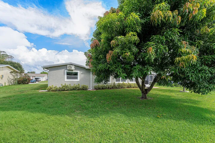 Expansive green lawn with a mature tree, bordered by a stucco-finished structure featuring a single window and an exterior-mounted unit