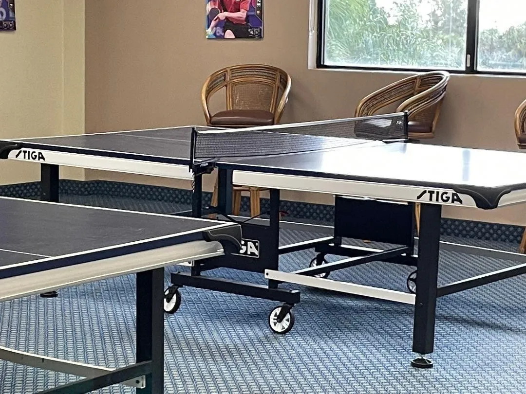 PING PONG