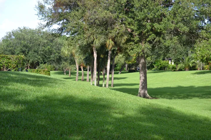 6 Open Green Space