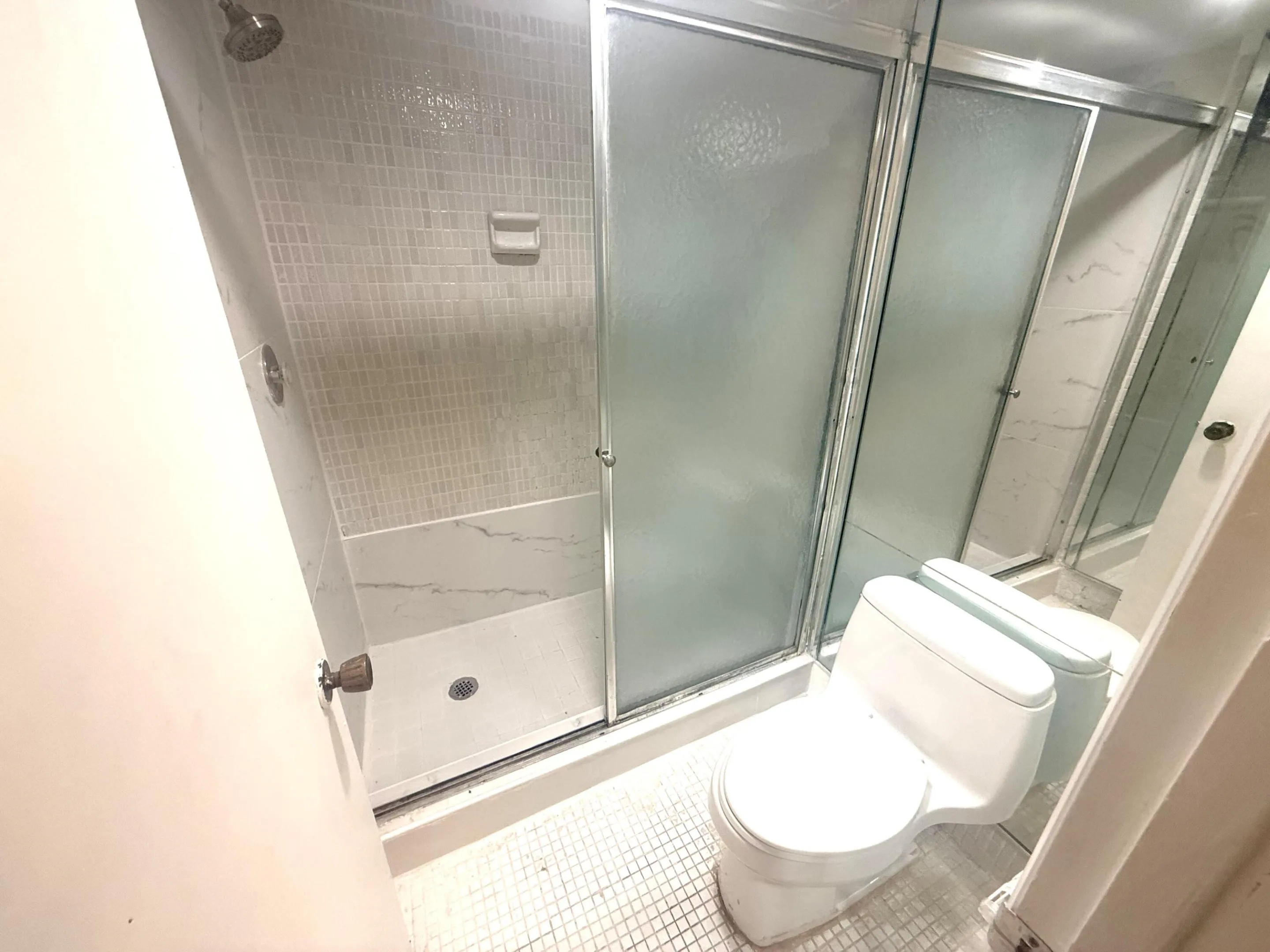 Glass shower enclosure