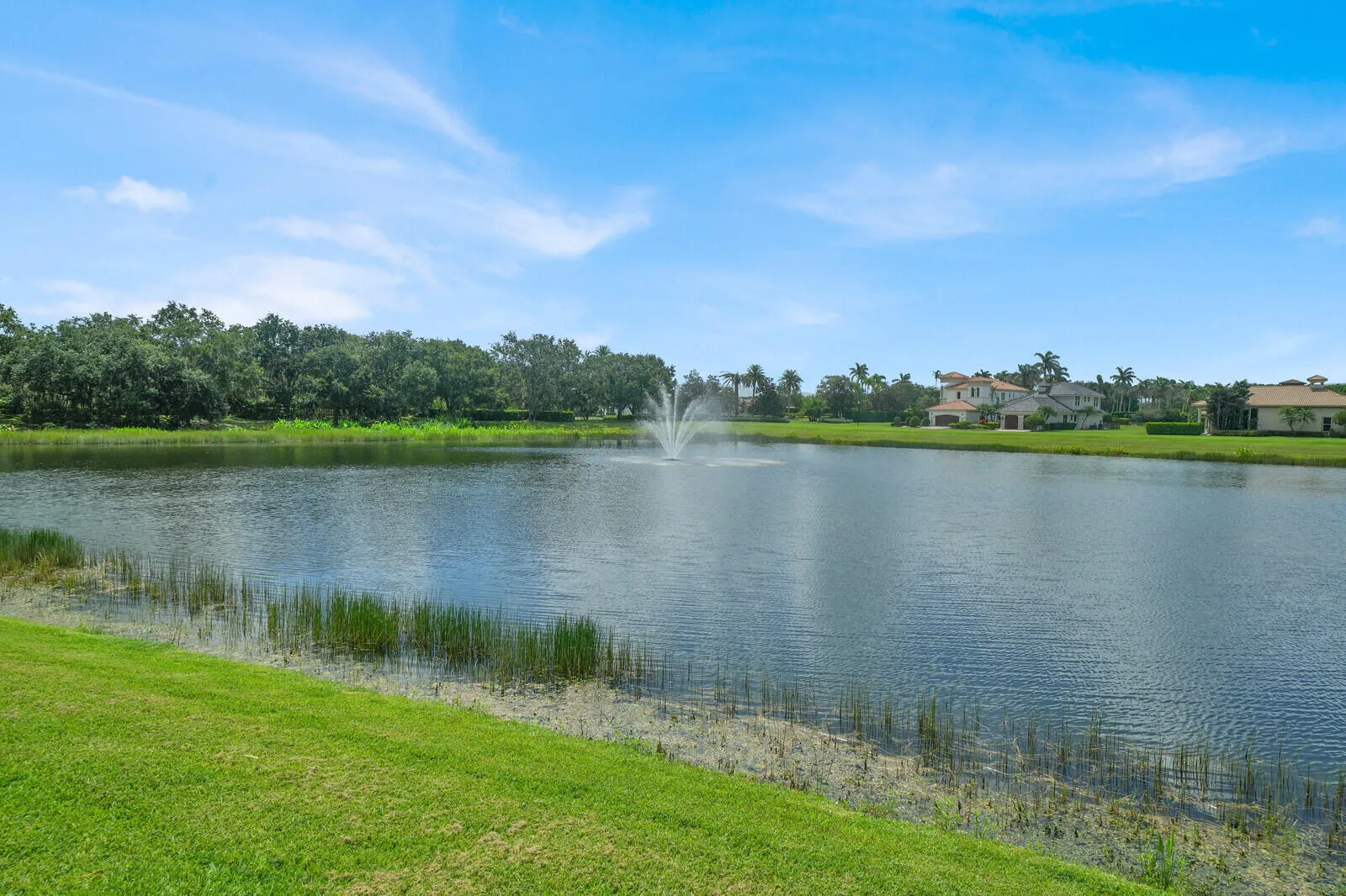 Property photo 67