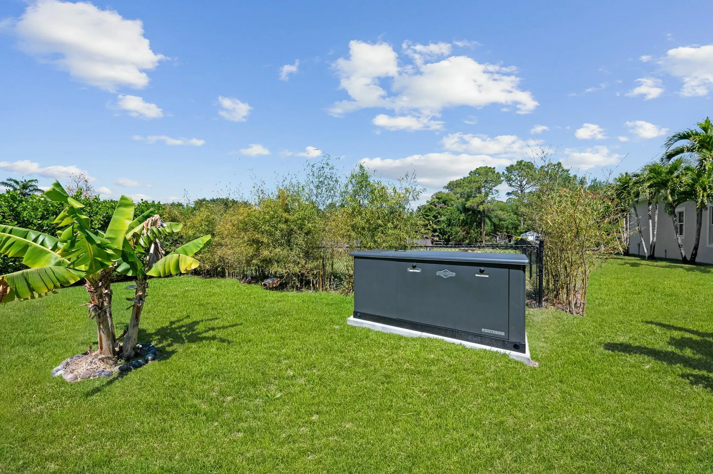 Briggs and Stranton Generator