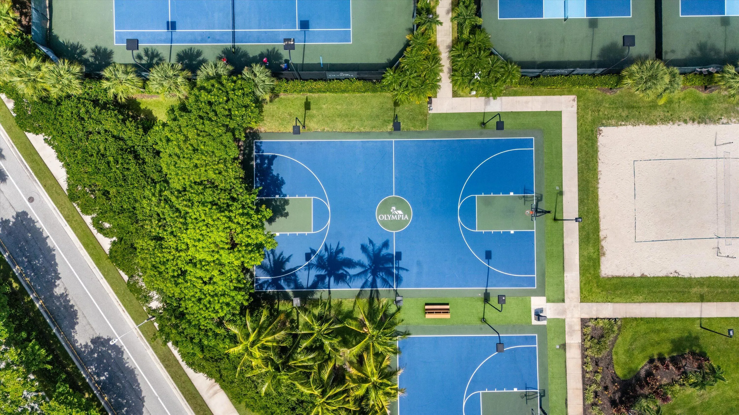 Ariel Basketball