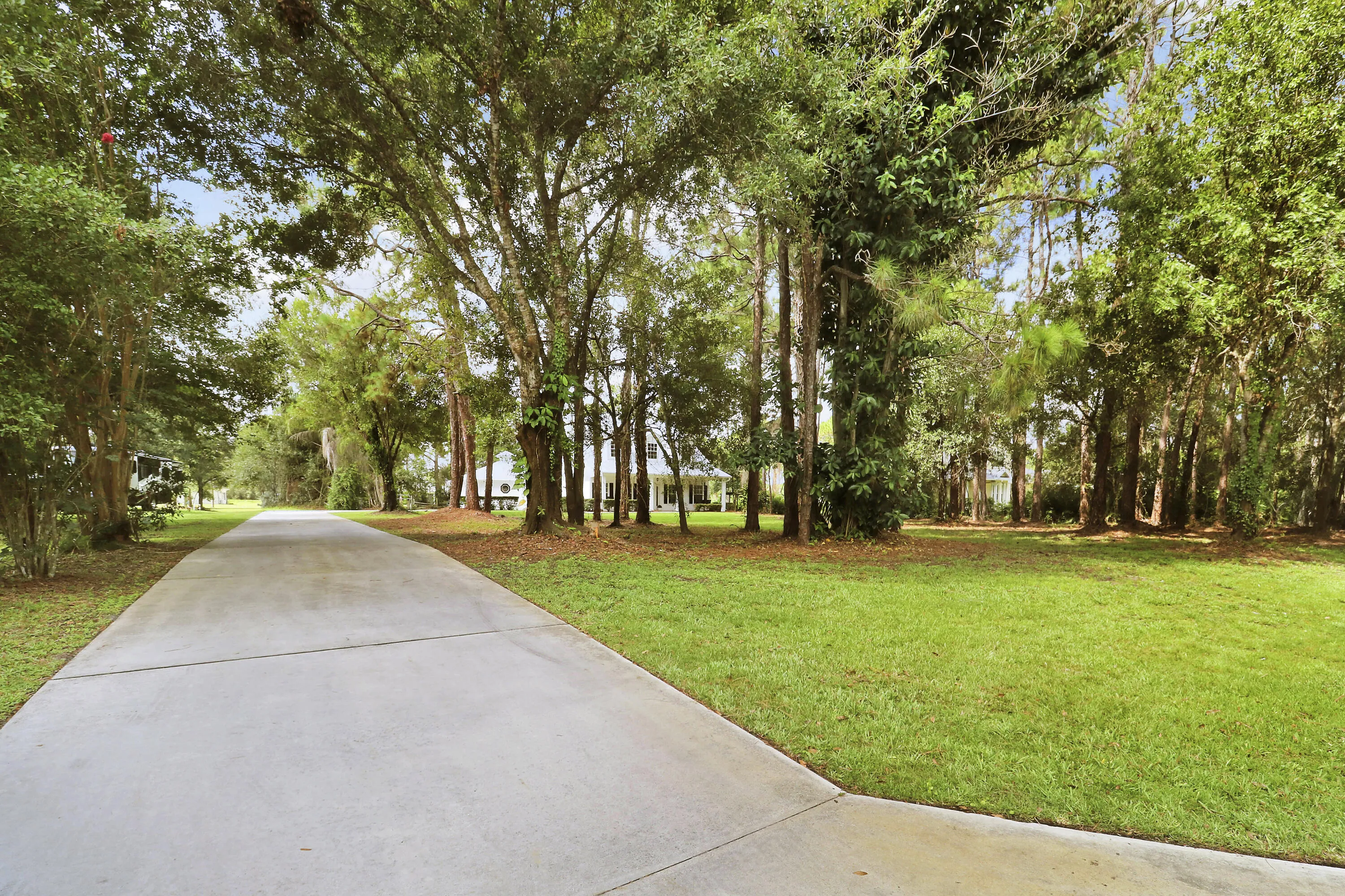 Property photo 42
