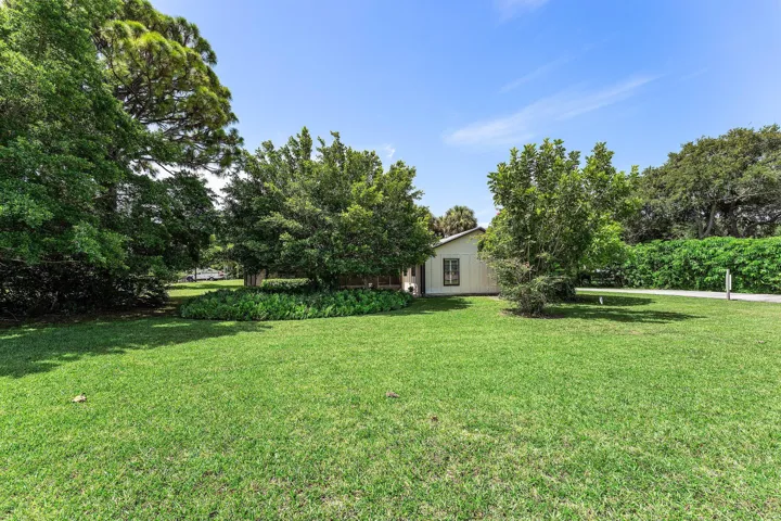 Mature treed yard with space for all activities or just taking in nature.