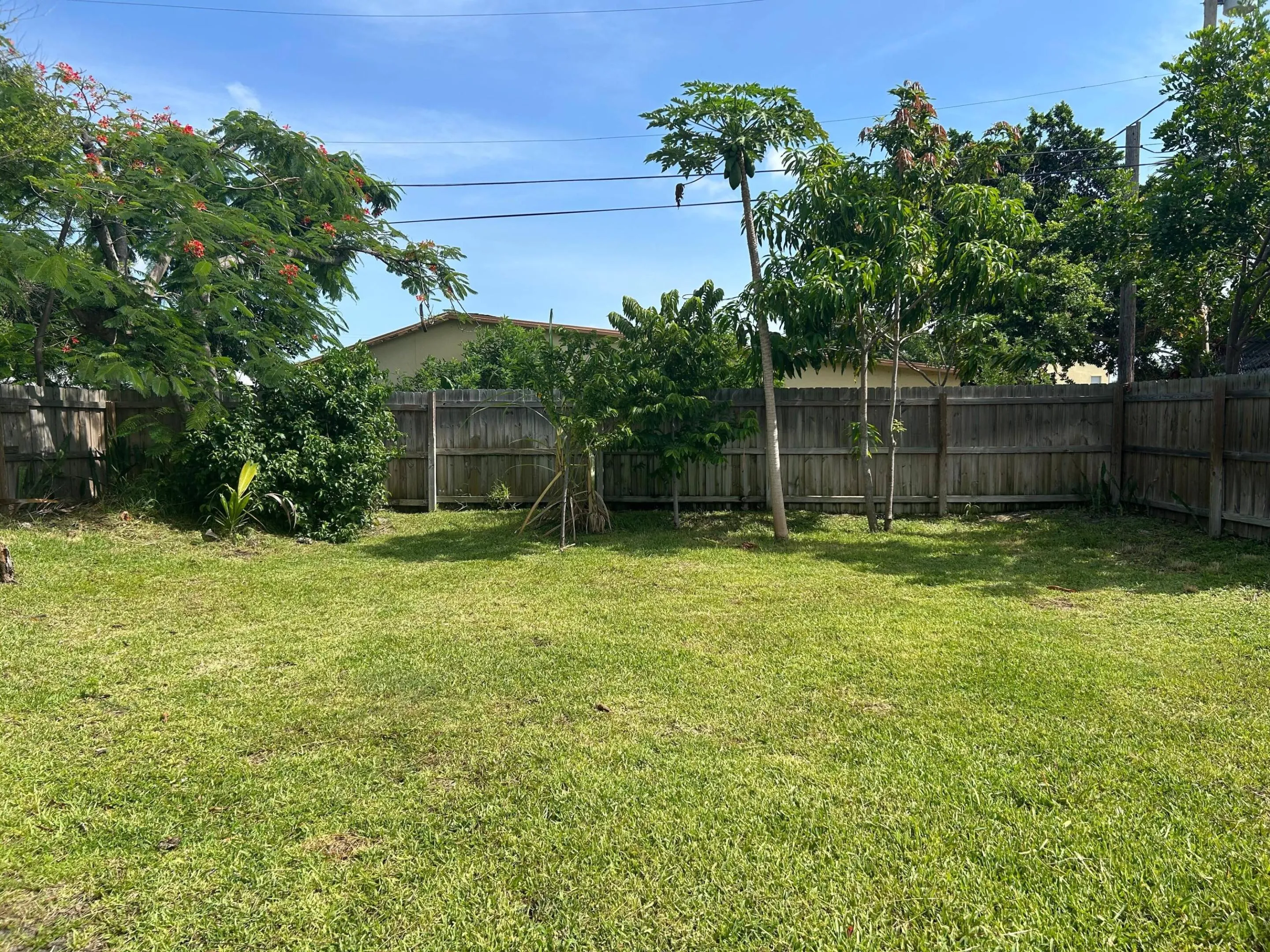 PATIO 4