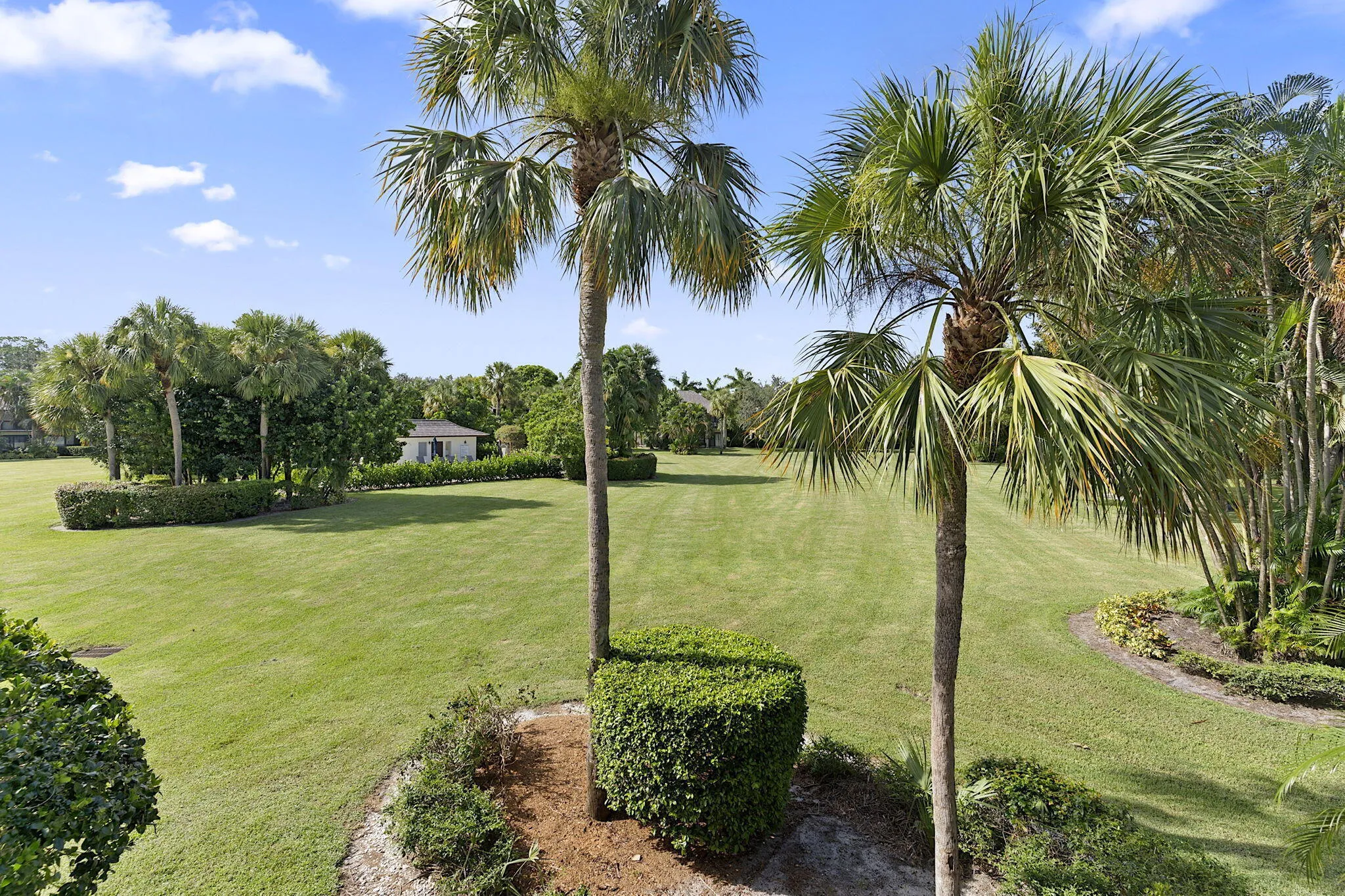 32-web-or-mls-317 - 032