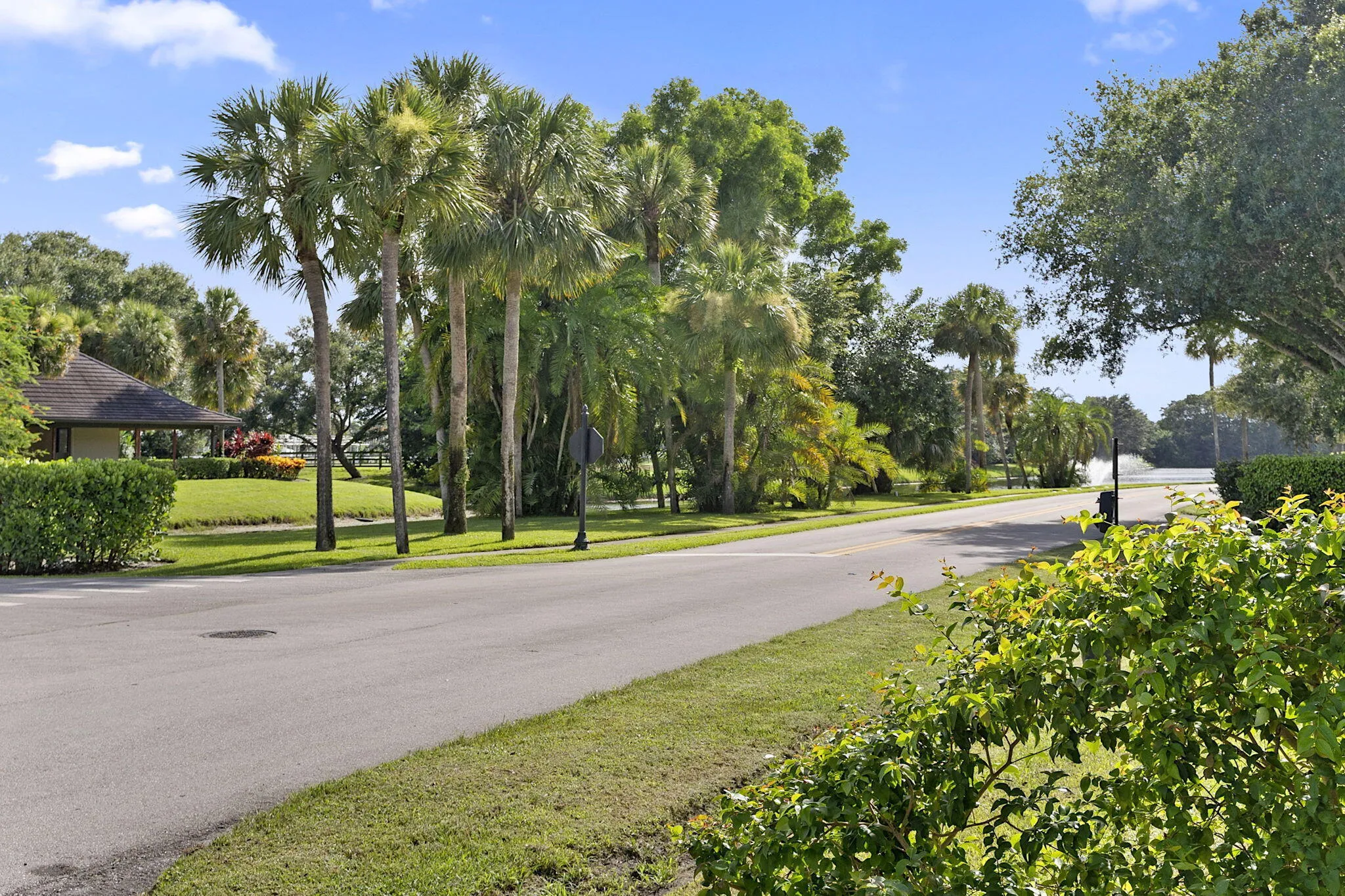 34-web-or-mls-317 - 034