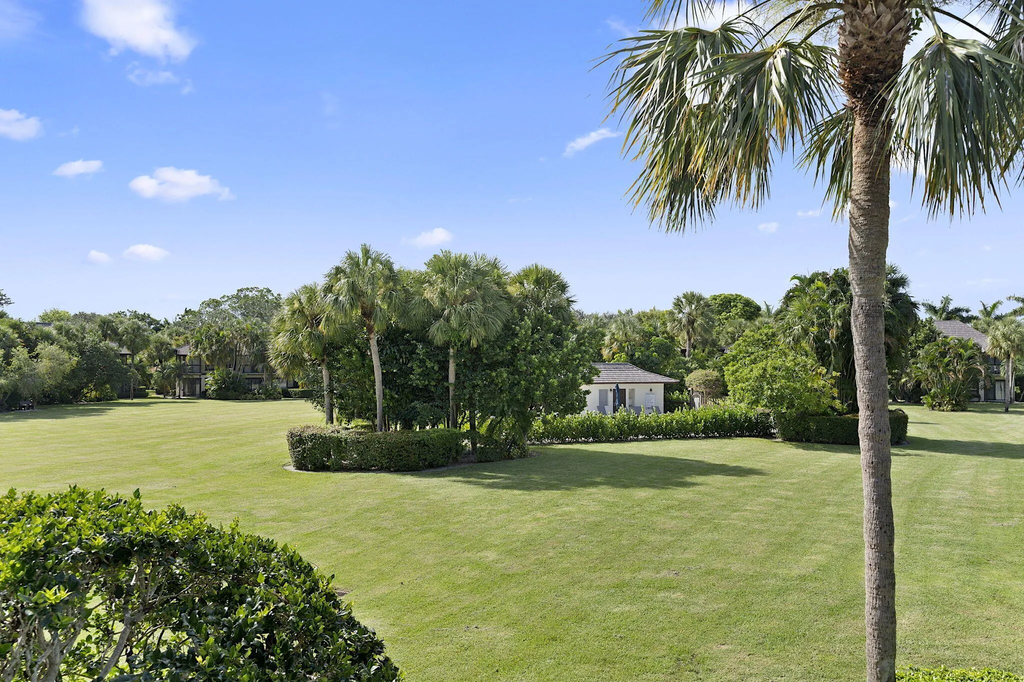 33-web-or-mls-317 - 033