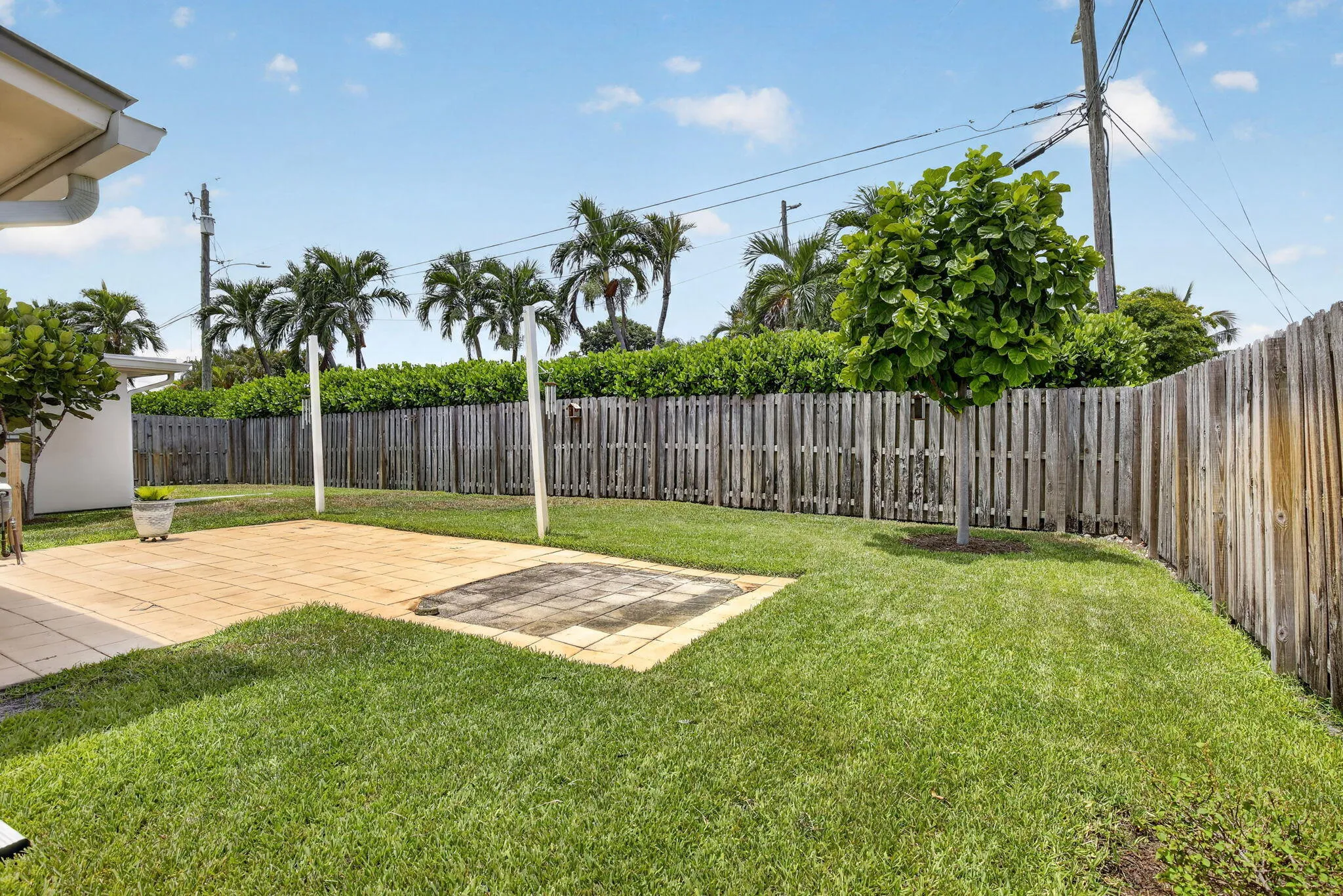 Backyard