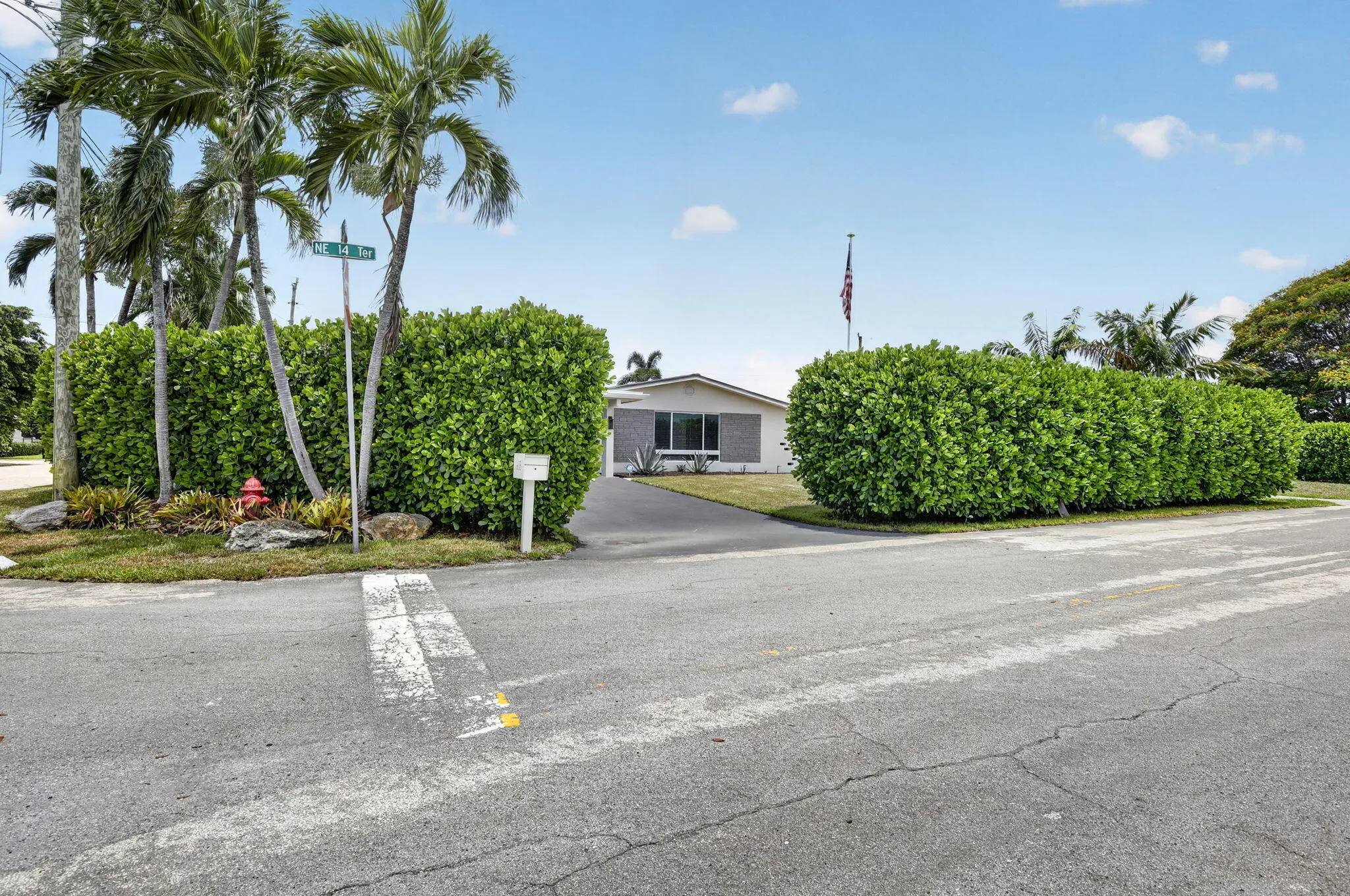 12 foot privacy hedge around property