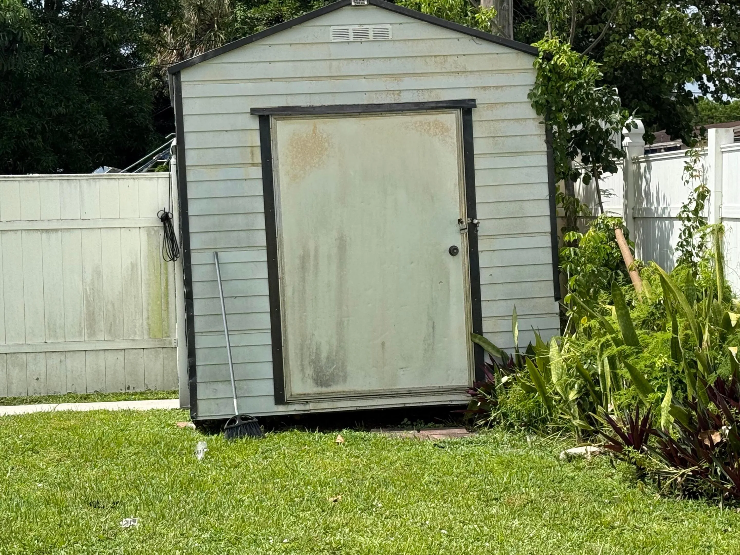 shed in back yard