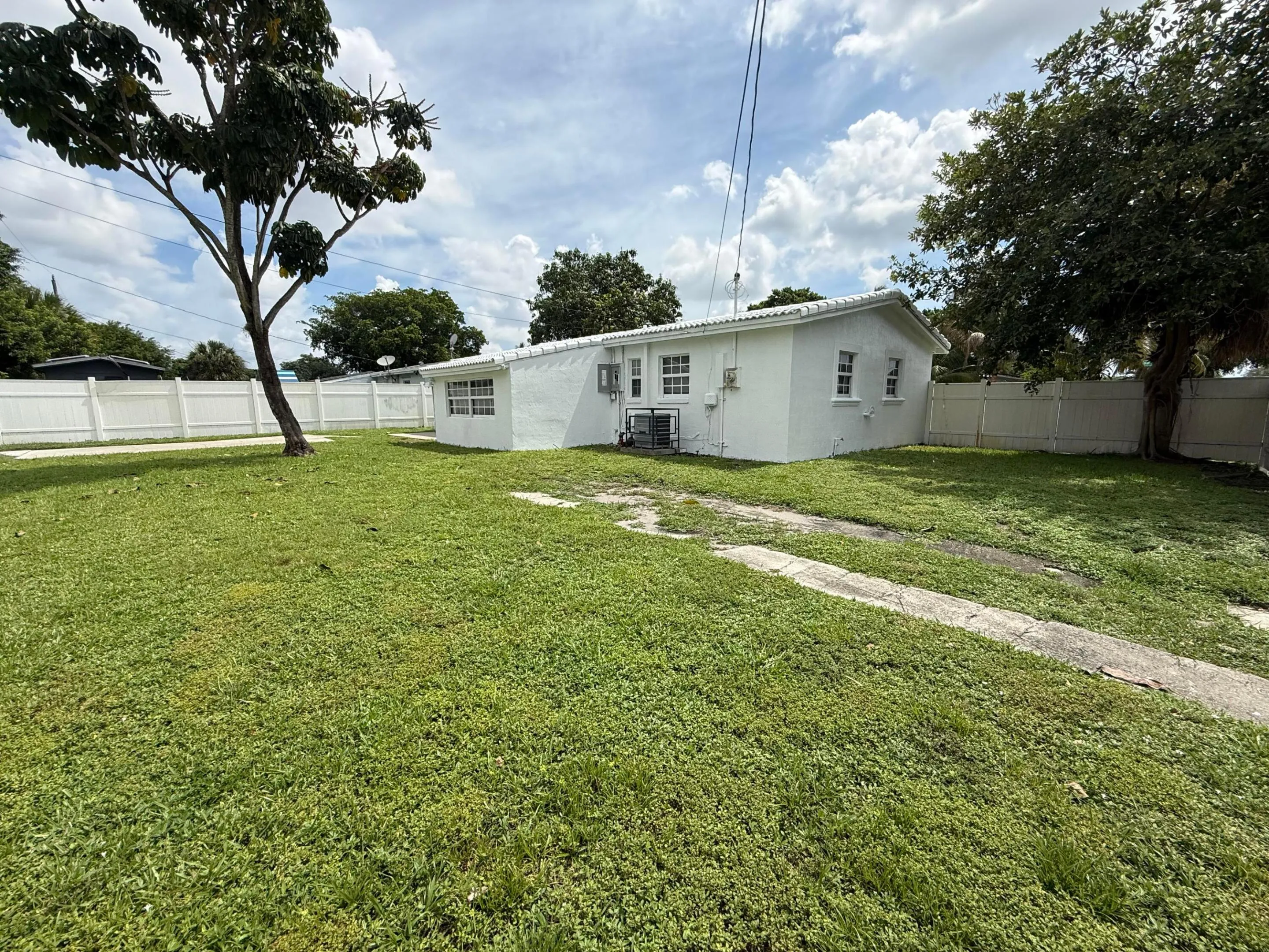Back yard