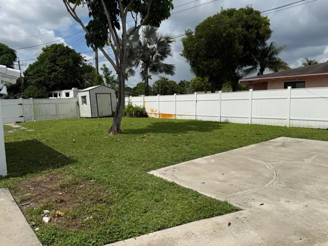 Back yard