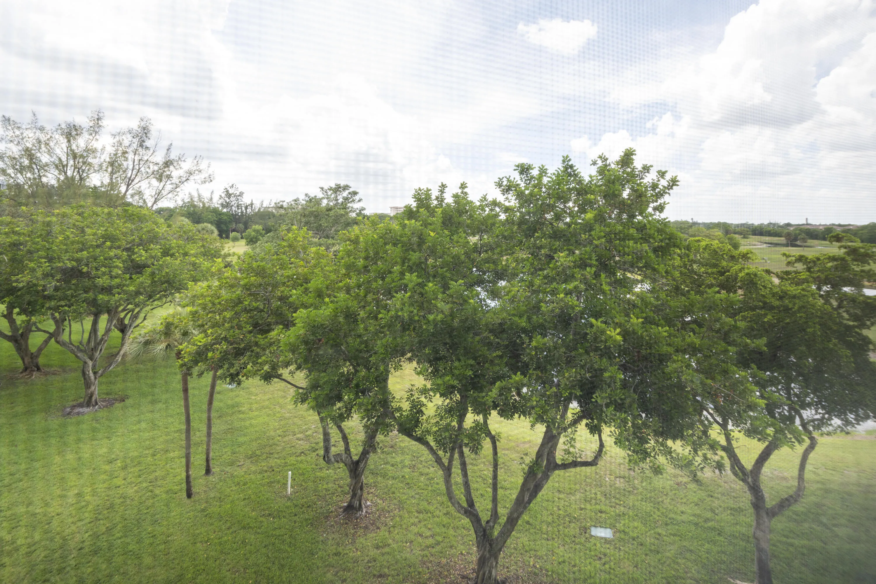View from balcony