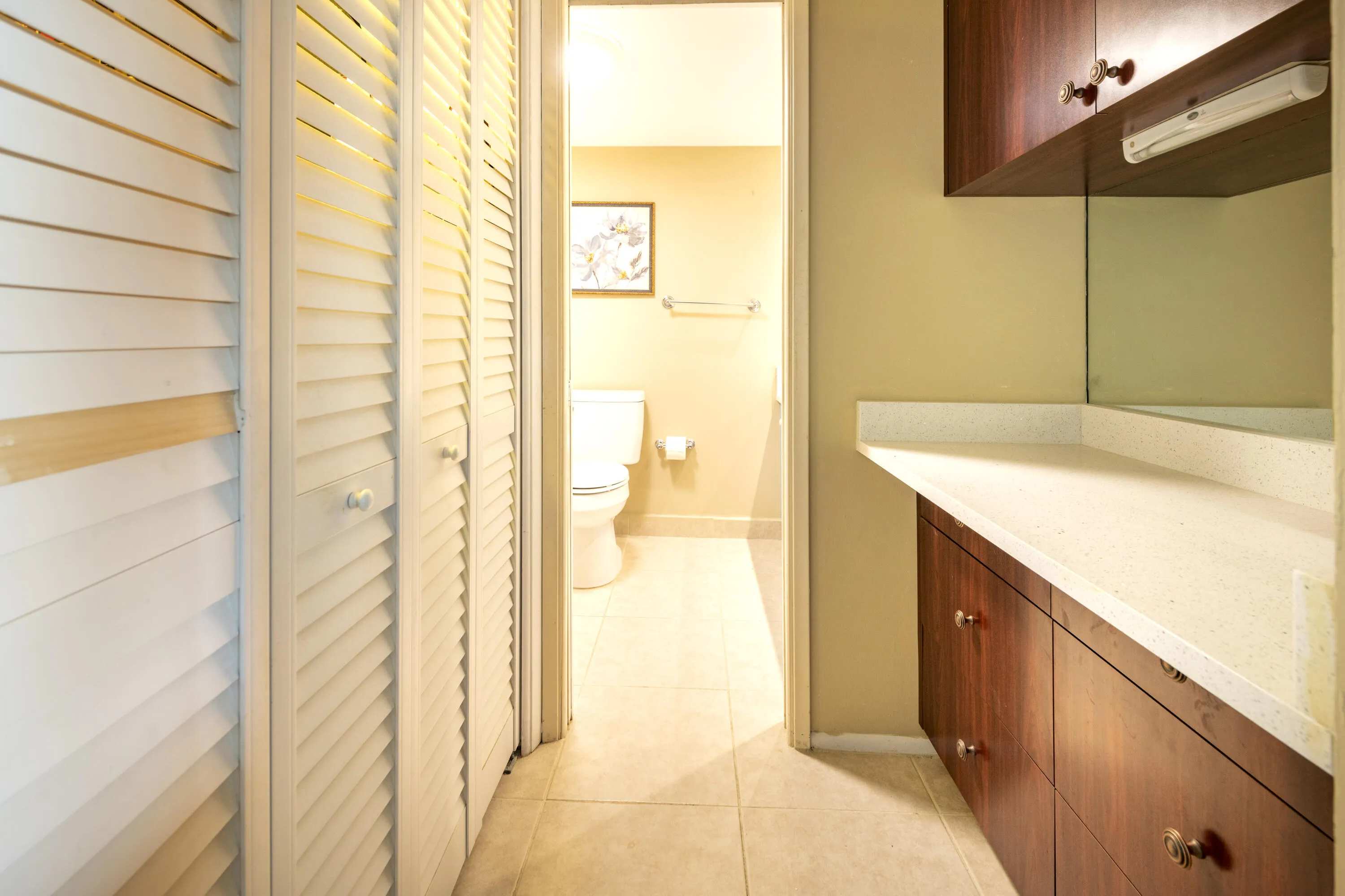 Kitchen Pantry