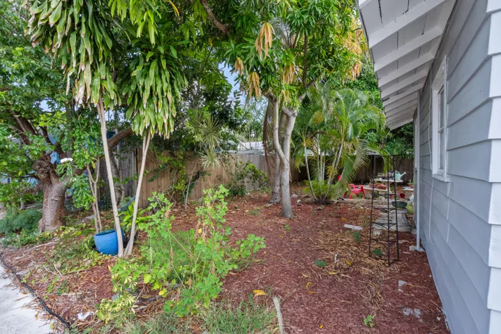 SIDE YARD