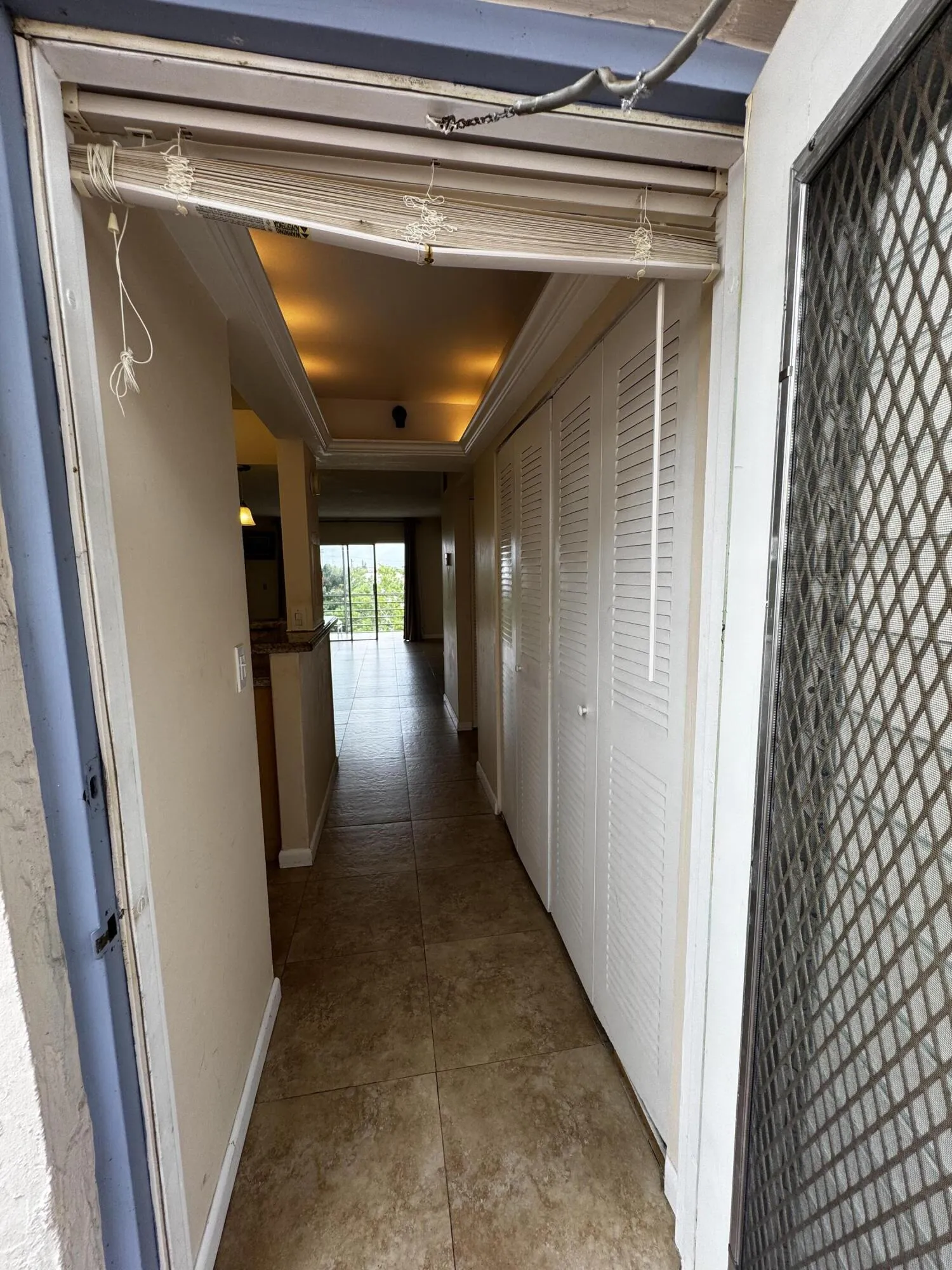 Living/Dinning Area