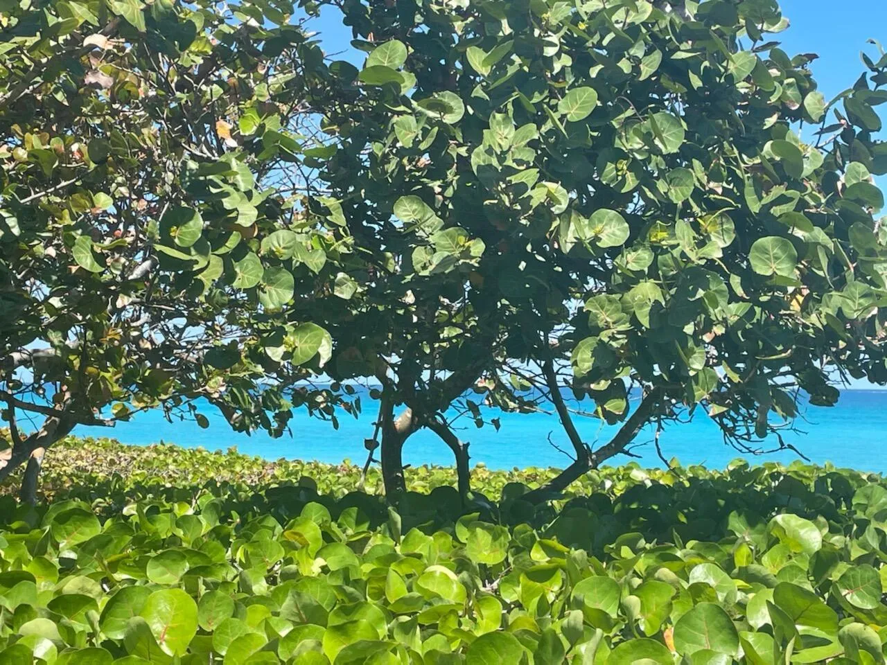 Jupiter Beach