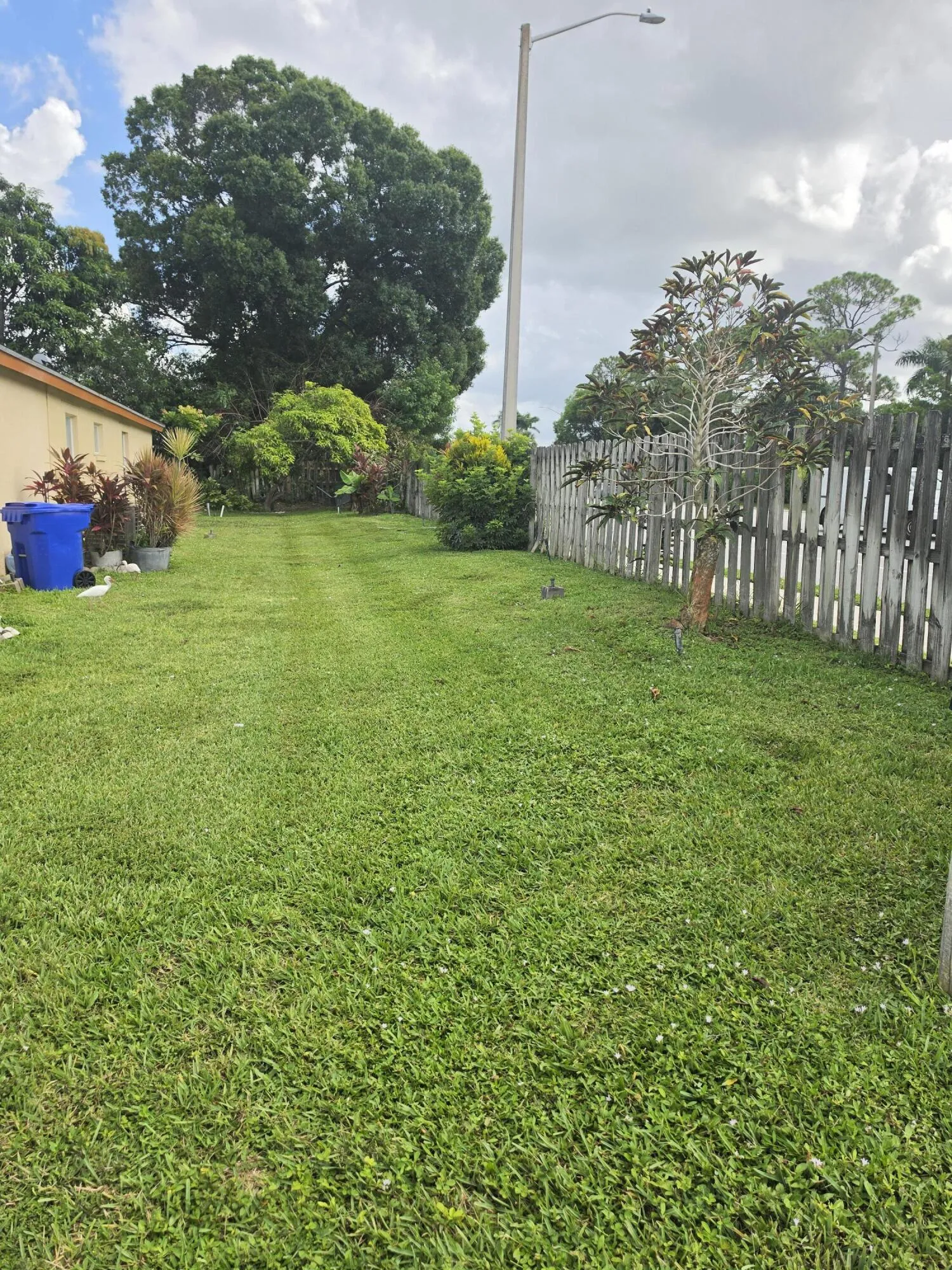 Expansive grassy yard featuring a wood privacy fence and mature trees
