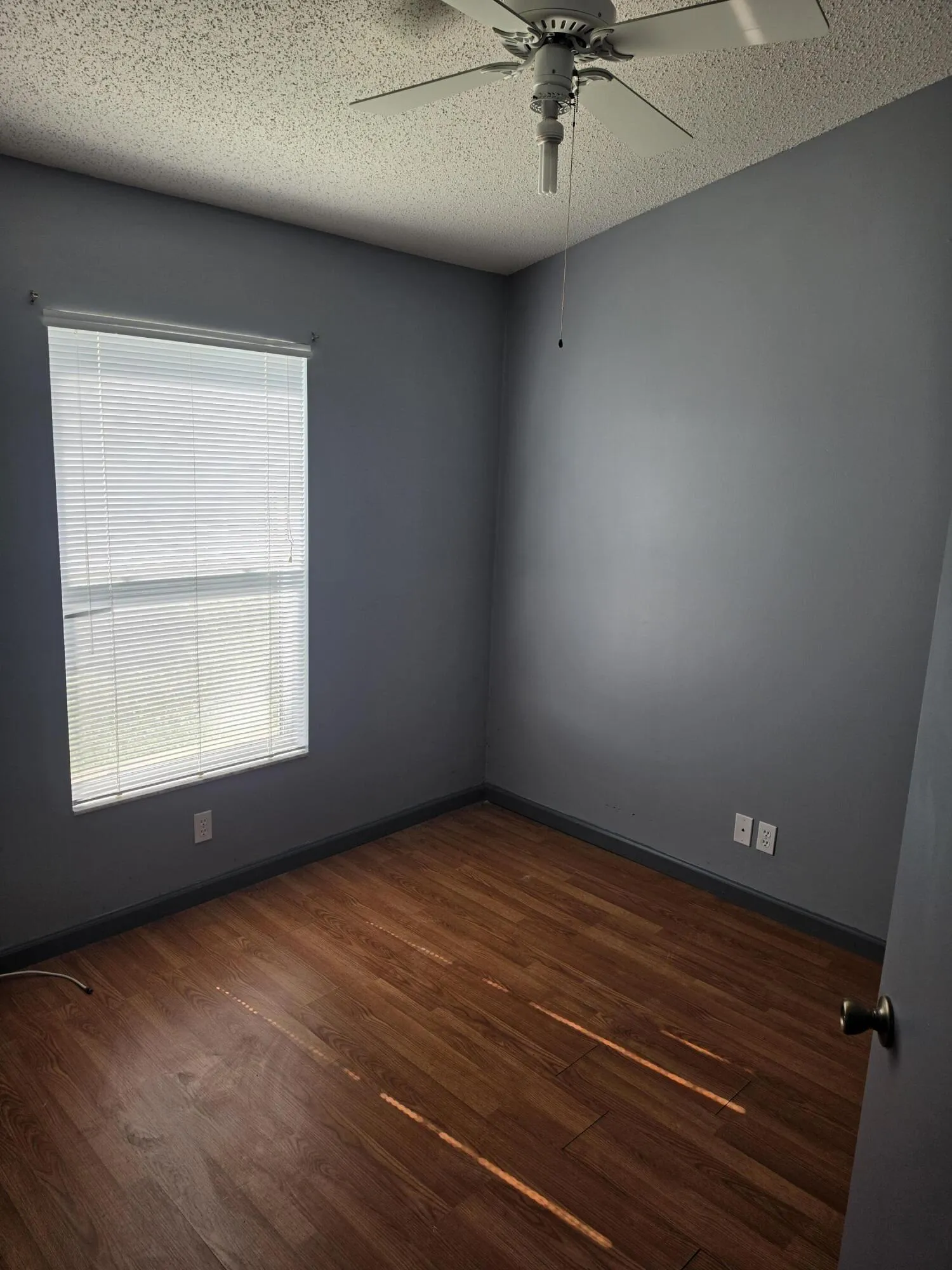 Wood-finish flooring with a dark baseboard