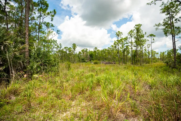New Construction in Fellsmere For Sale
