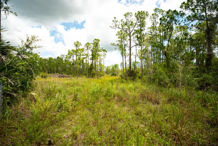 12460 79TH Street, Fellsmere, FL, 32948