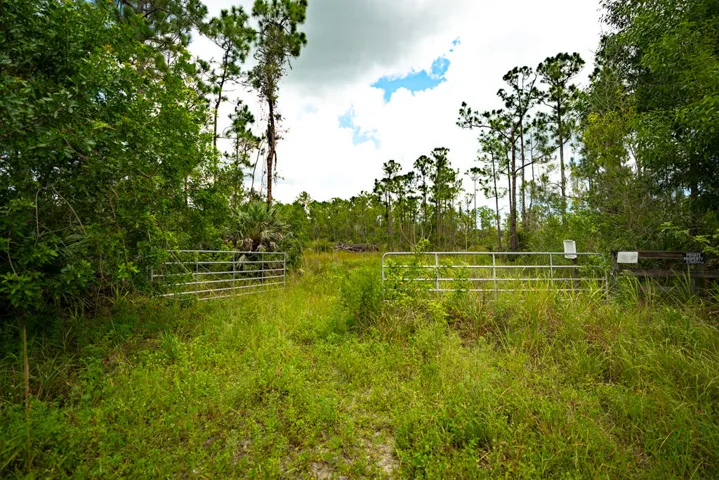 New Construction in Fellsmere For Sale