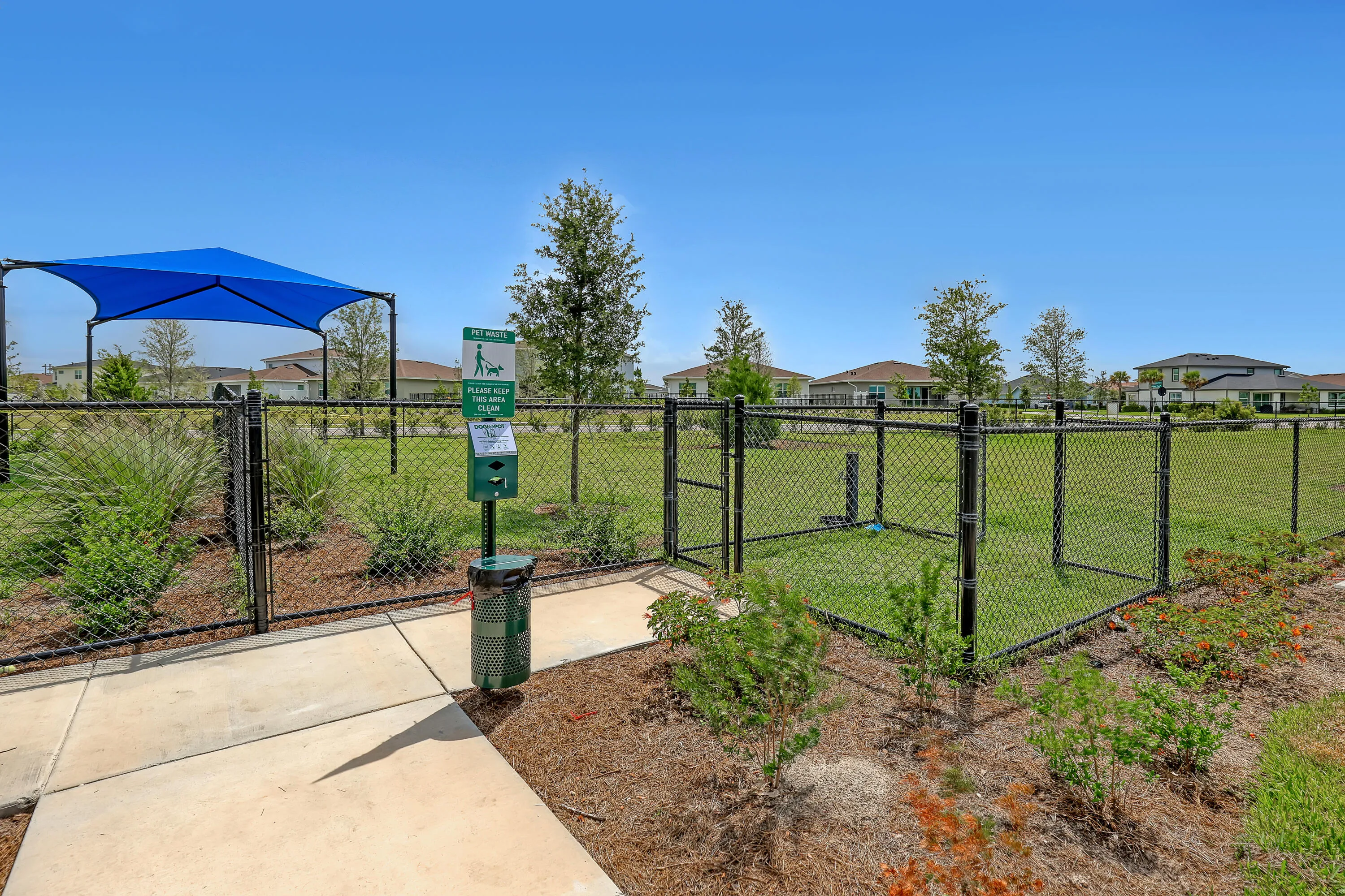 Dog Park
