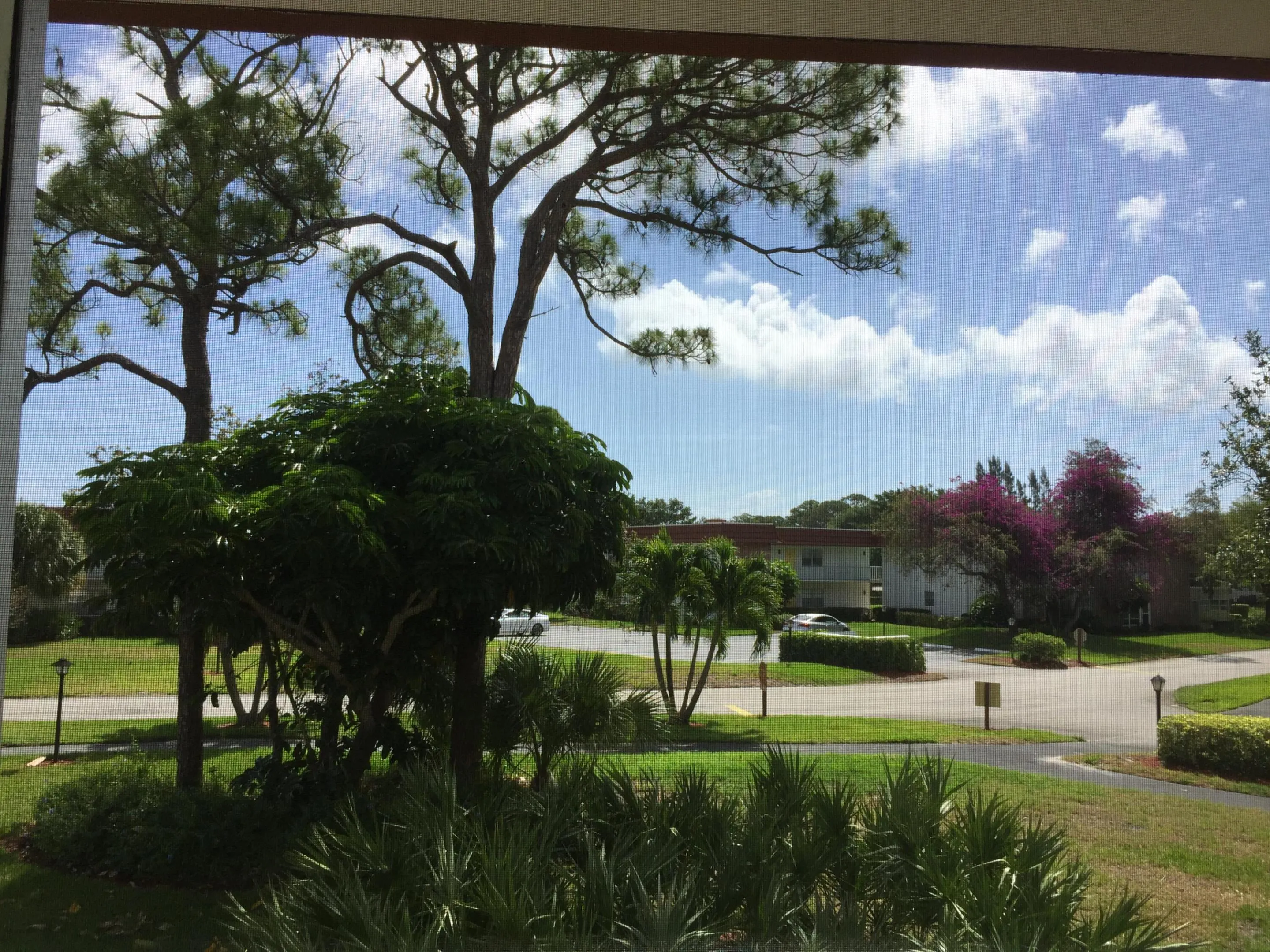 Property photo 45