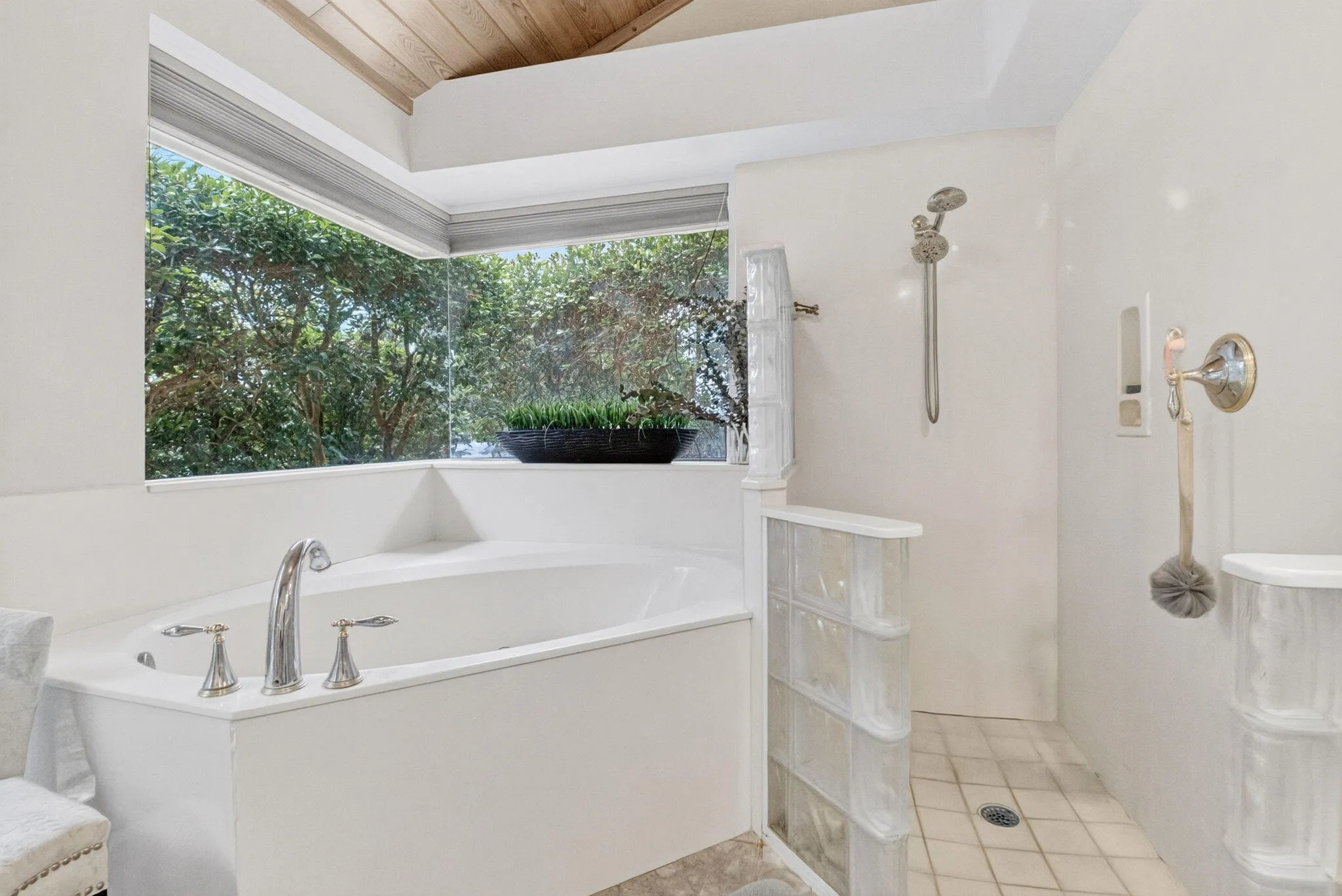 Roman Tub, Bay Window & Roll-In Walk-In Shower