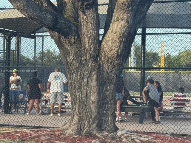 Families playing sports