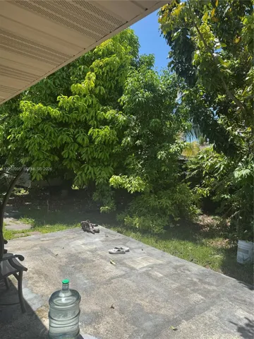backyard thru the kitchen
