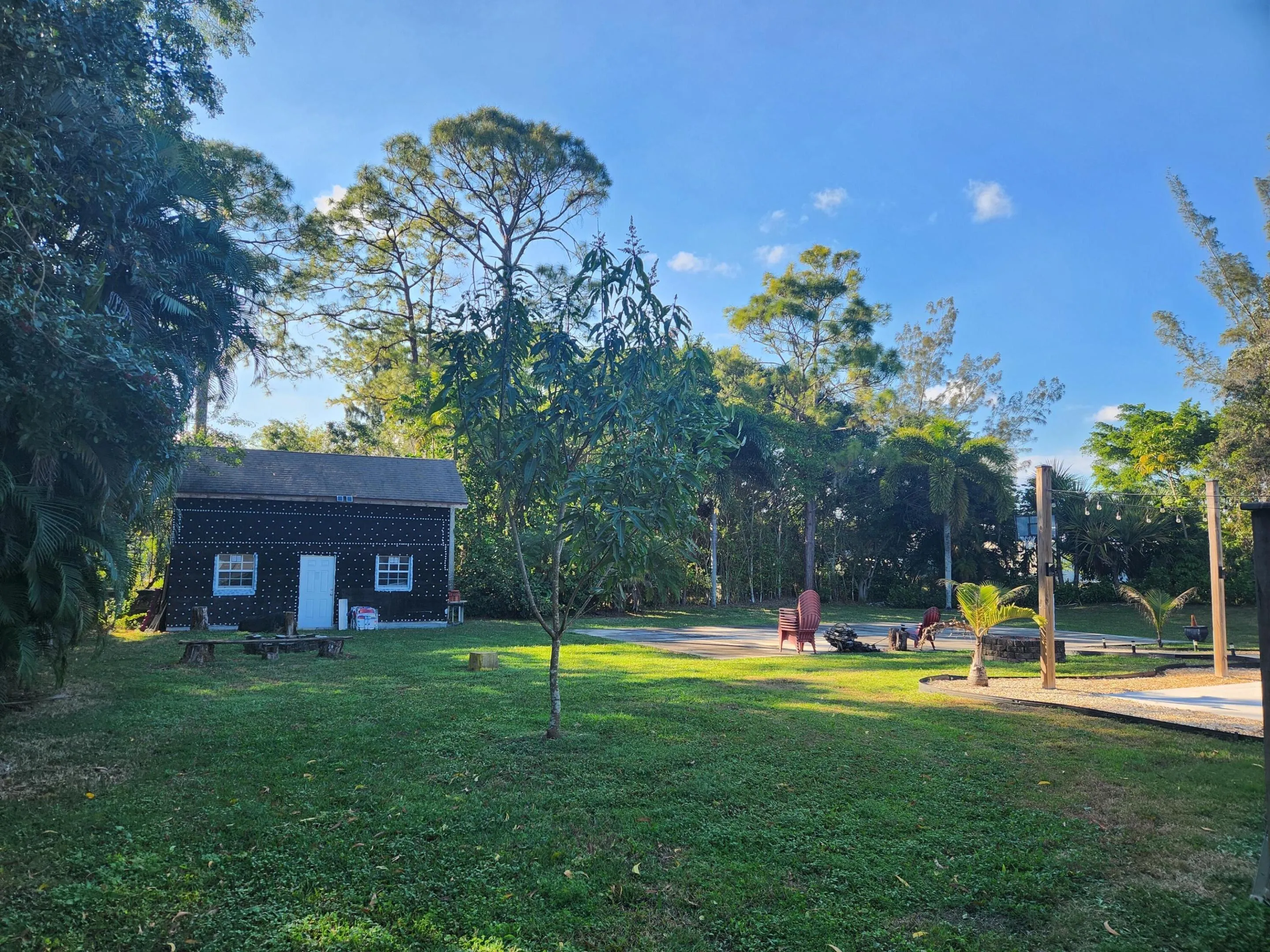 Rear yard