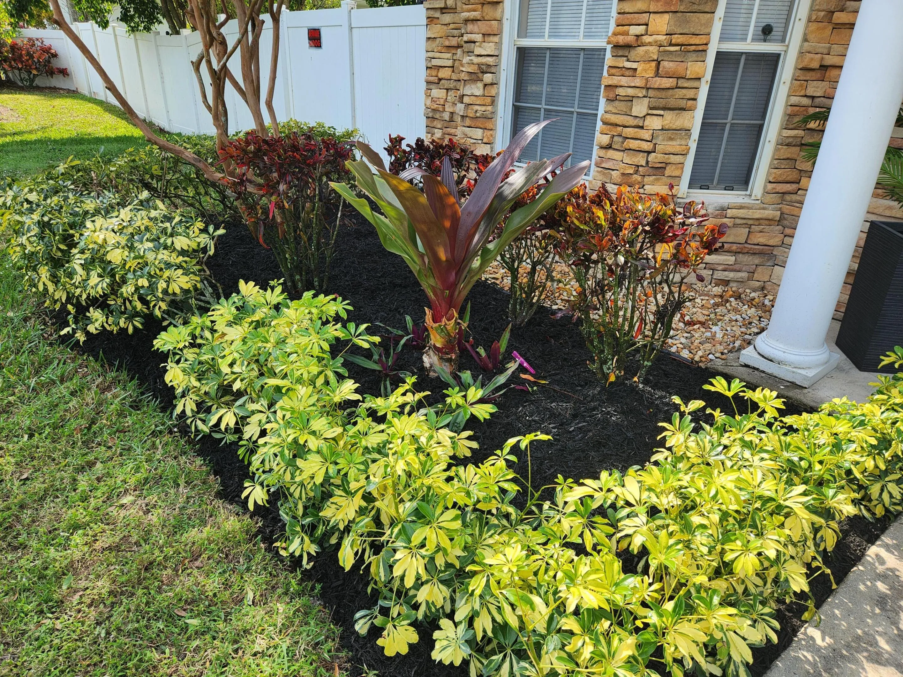 Front Yard1
