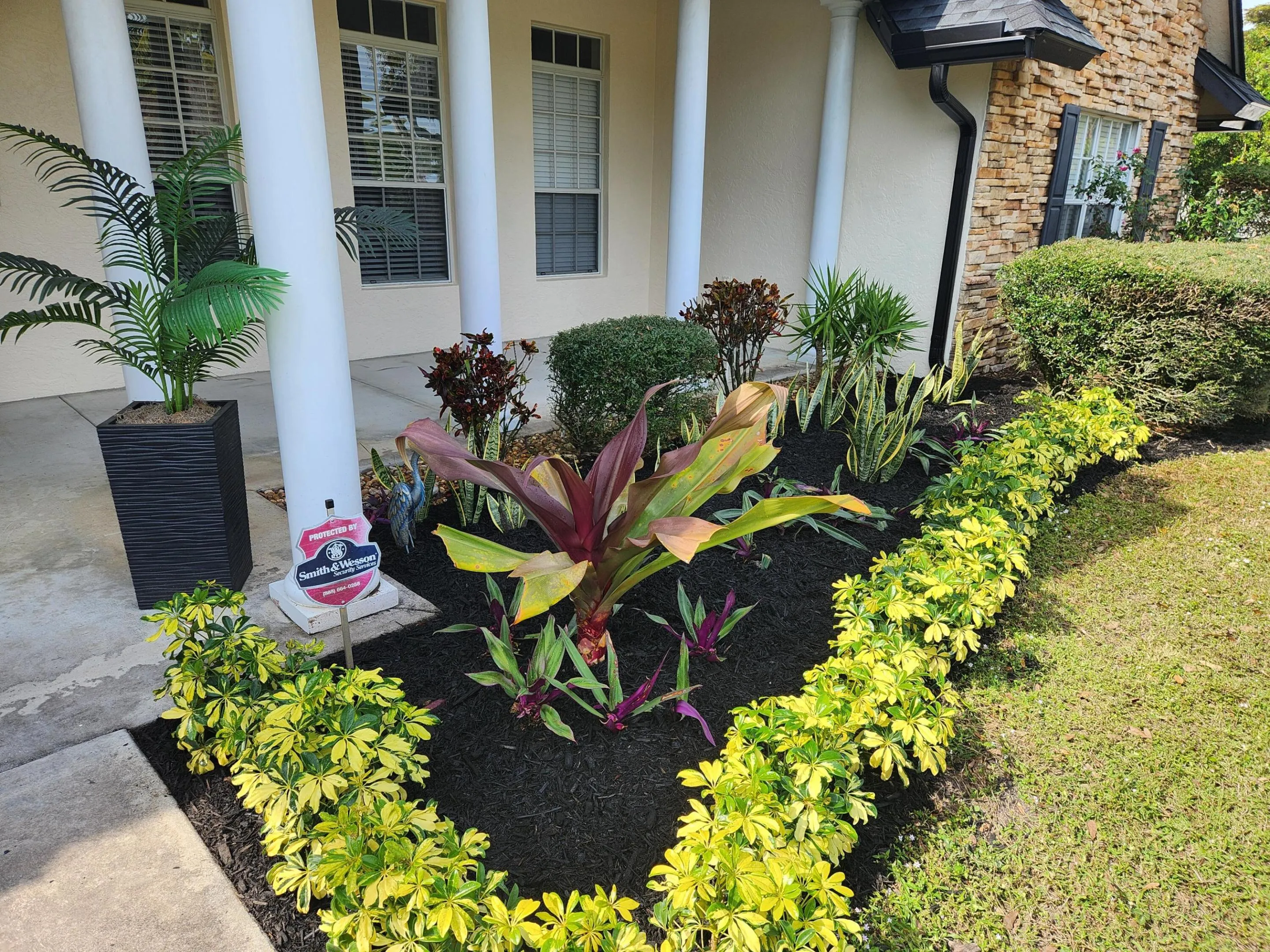 Front yard2