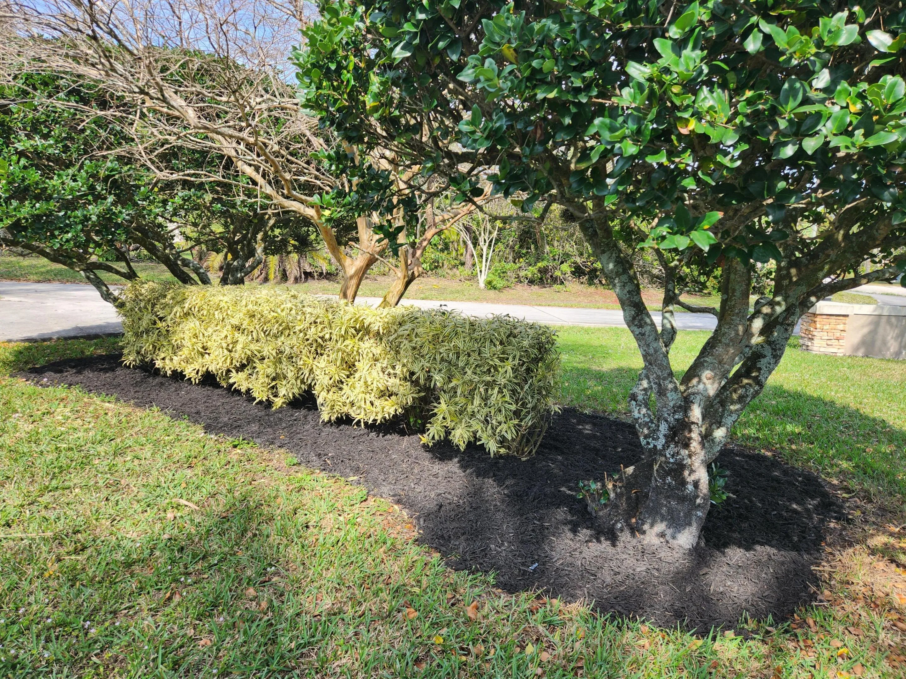 front yard
