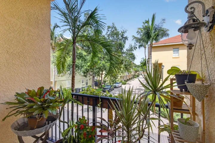 33-web-or-mls-5D1A8060