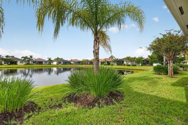 Pond View