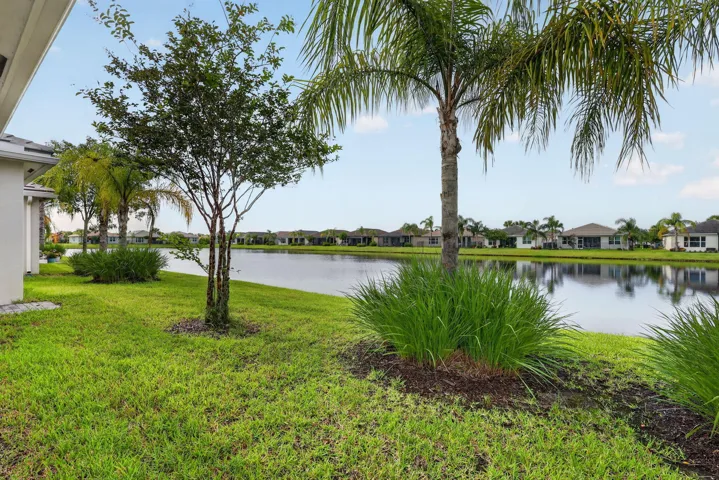 Pond View