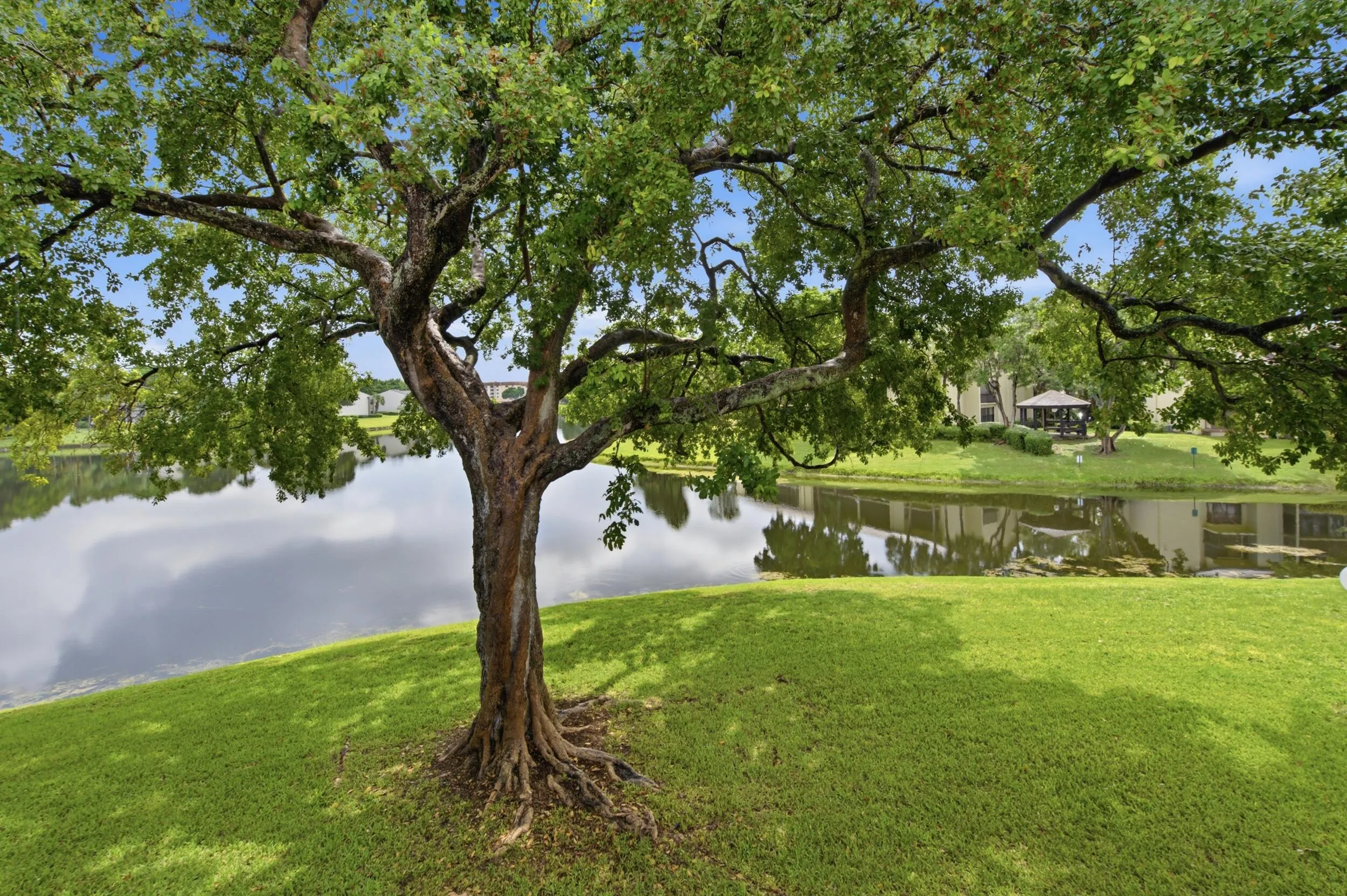 25__dsc0207