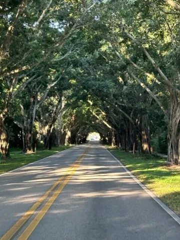Bridge Road