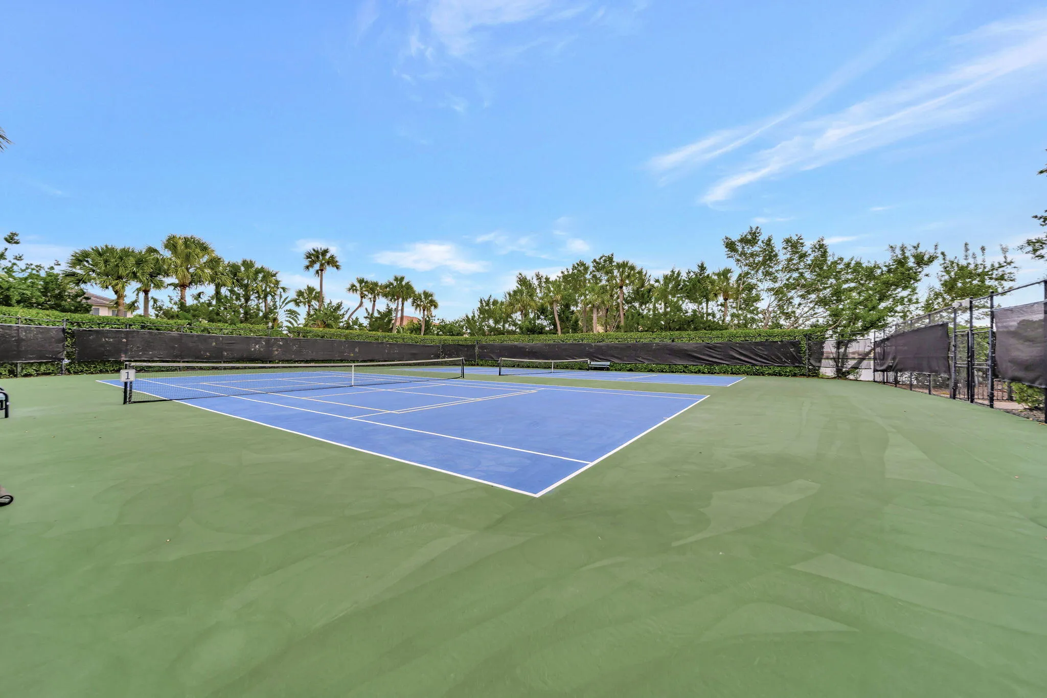 Tennis anyone?