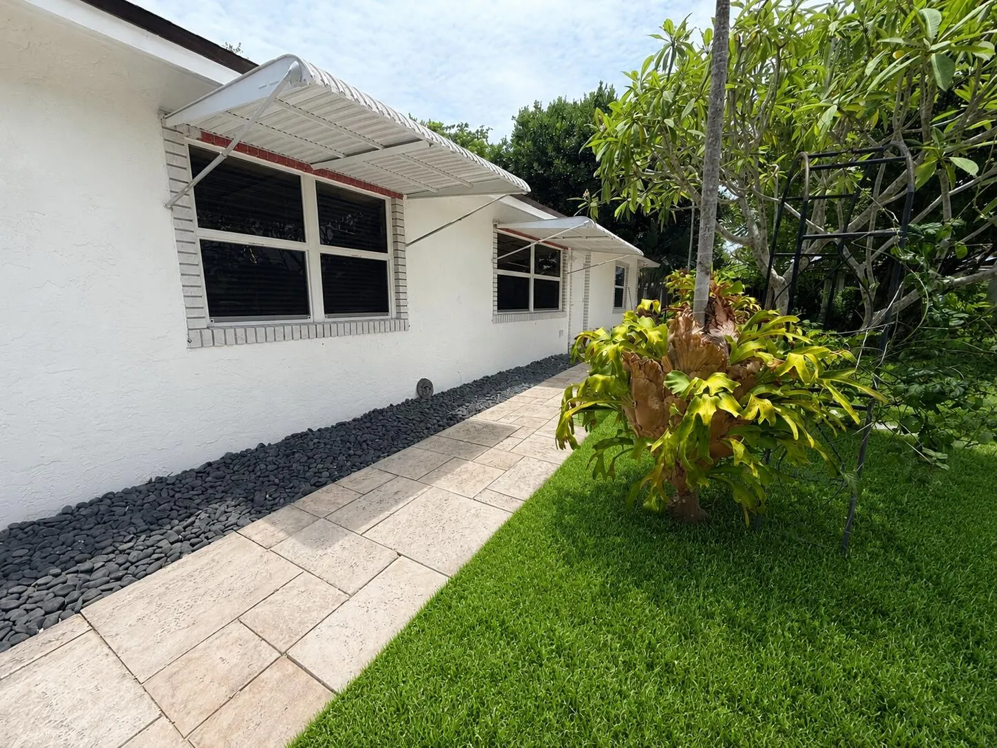 walkway with grass