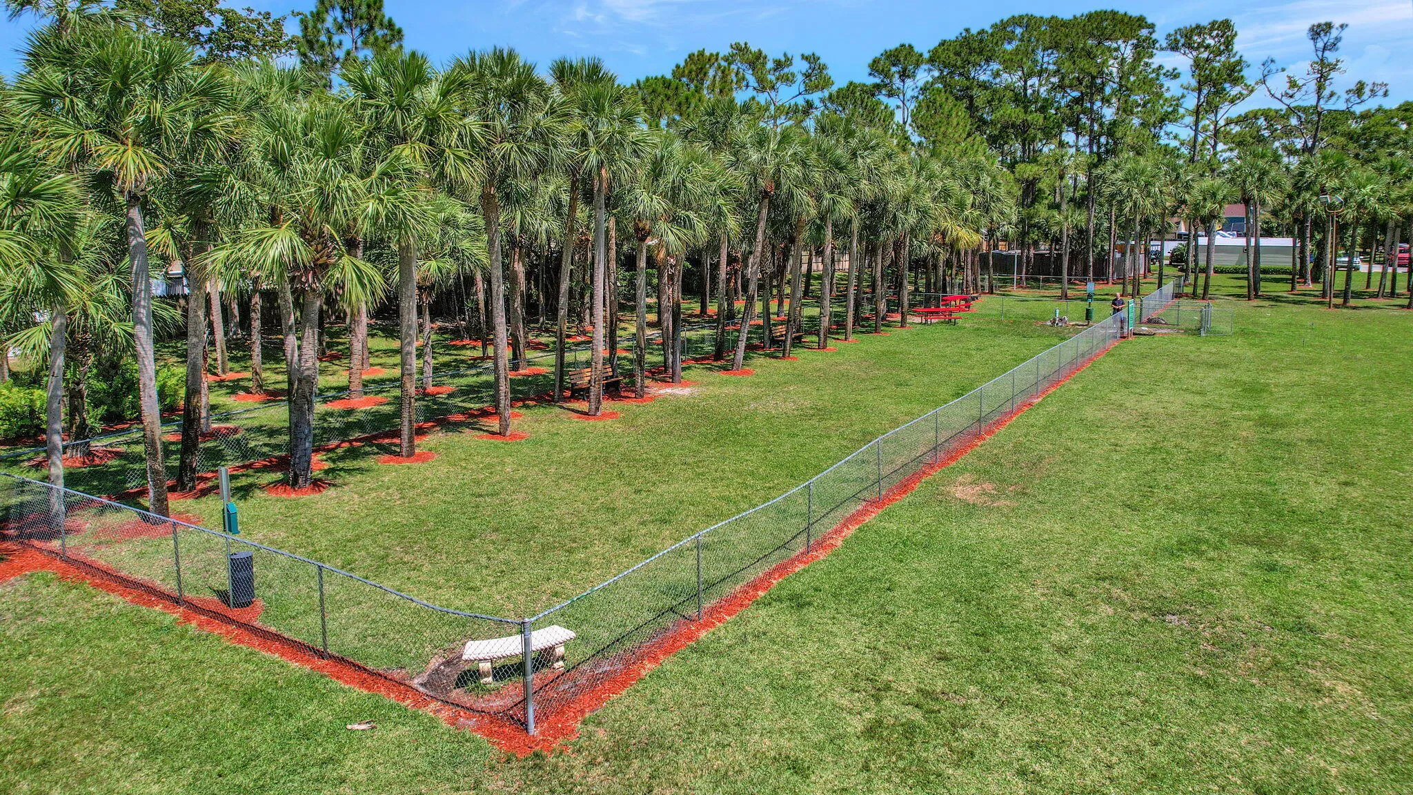 Dog Park