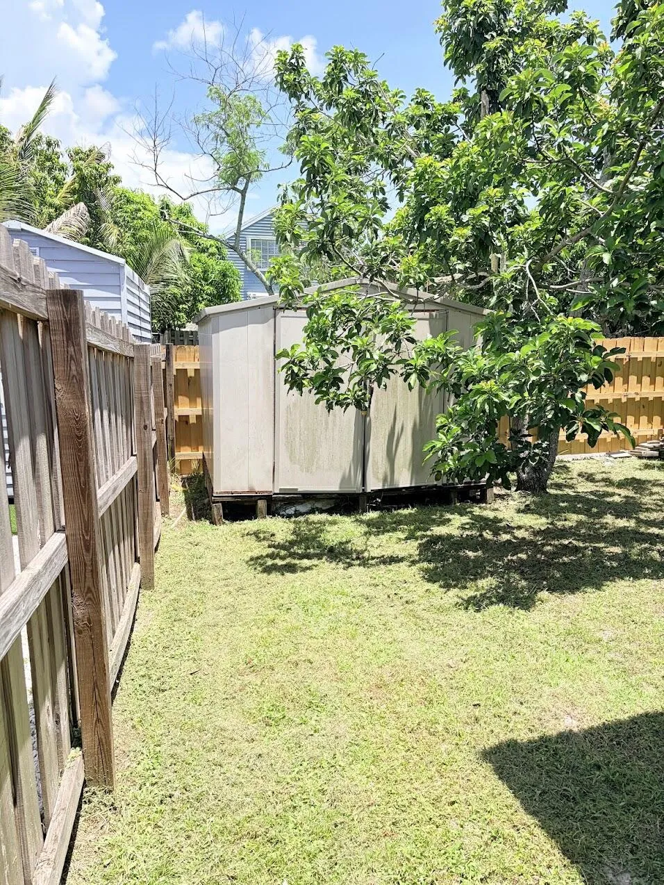 view from back near shed