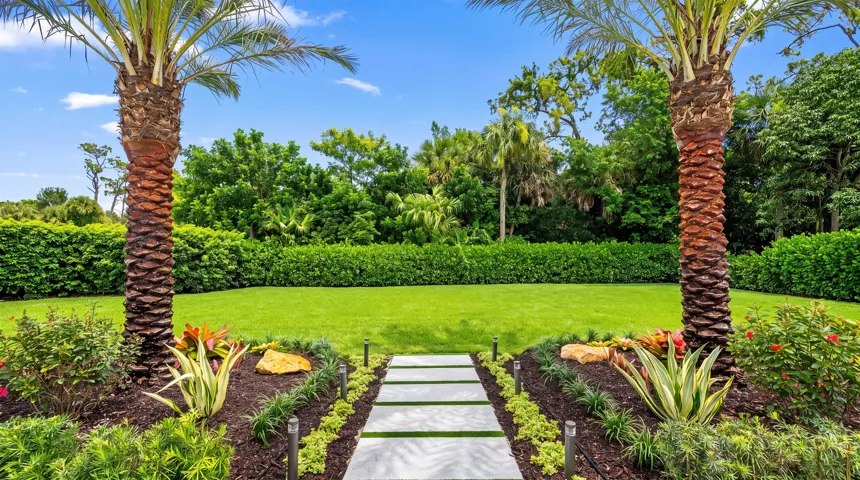 Newly landscaped hedged yard